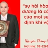 Nhà Thành Phố là thương hiệu thuộc Công ty cổ phần Nguyên Thông Quán