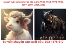 Tuổi Sửu: phân tích phong thủy – khí vận – sim số – tình duyên & hướng nhà