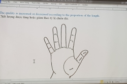 Bí mật bàn tay: giải mã tính cách từ cái chạm đầu tiên