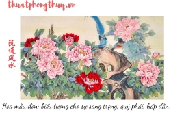 Tối ưu phong thủy cho nhà thành phố kết cấu bất lợi – hóa giải thực chiến từ Nguyên Thông Quán