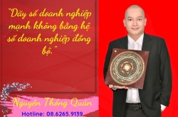 Cấu trúc khí doanh nghiệp: thiết kế Sim, STK, Biển Số đồng bộ