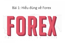 Bí mật pro Forex Bài 1: hiểu đúng về thị trường ngoại hối
