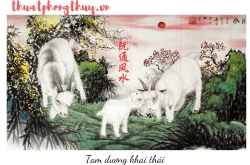 Phong thủy chuyển đổi mô hình kinh doanh – giải pháp chiến lược từ Nguyên Thông Quán