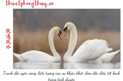 Phân tích trường khí nhà thành phố – nguyên lý phong thủy từ Nguyên Thông Quán