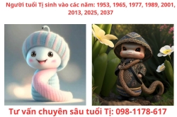 Tuổi Tị: Con rắn tài trí – Khai mở vận hội bằng sim phong thủy và khí học ứng dụng