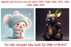 Phong thủy tuổi Tý: cách ổn định vận khí – tình cảm – tài lộc theo số mệnh