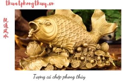 27 bài học phong thủy nhà phố chuyên sâu: làm chủ vận khí, kích hoạt tài lộc theo huyền không phi tinh