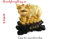 Chân truyền phong thủy bậc thầy: hợp nhất ngũ thuật & làm chủ trận pháp điều khí