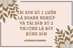 Xây dựng doanh nghiệp môi giới – từ cá nhân đến tổ chức chuẩn IPO