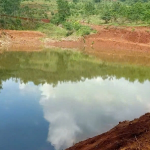 Bán đất nông nghiệp 713ha Đắk Lắk – 1 sổ đỏ – giá chỉ 80 tỷ – dòng tiền thực – pháp lý chuẩn