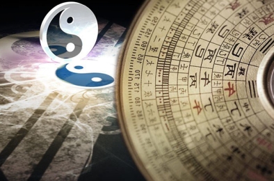 Nhà Thành Phố là thương hiệu thuộc Công ty cổ phần Nguyên Thông Quán