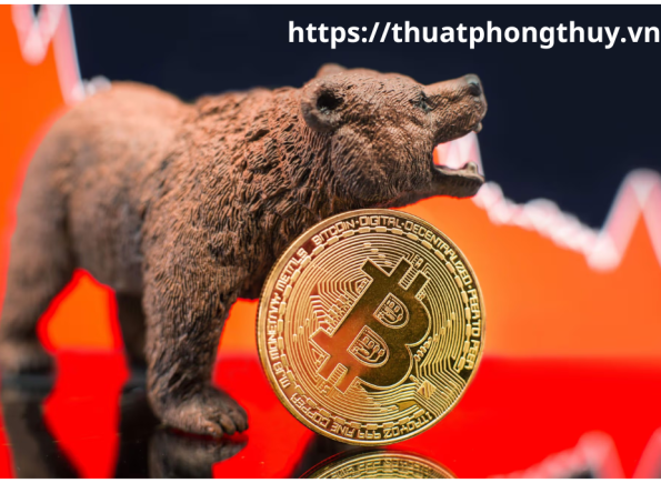 Nhà Thành Phố là thương hiệu thuộc Công ty cổ phần Nguyên Thông Quán