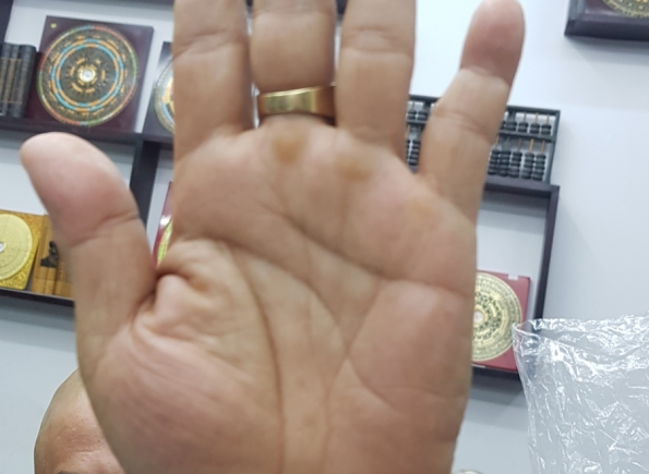 Nhà Thành Phố là thương hiệu thuộc Công ty cổ phần Nguyên Thông Quán