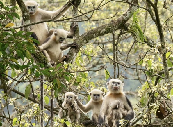 Nhà Thành Phố là thương hiệu thuộc Công ty cổ phần Nguyên Thông Quán