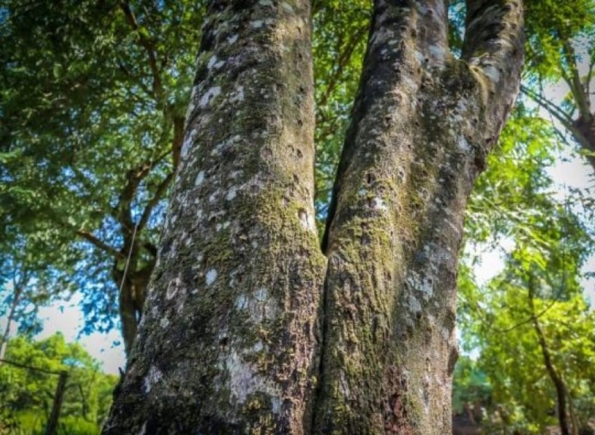 Nhà Thành Phố là thương hiệu thuộc Công ty cổ phần Nguyên Thông Quán