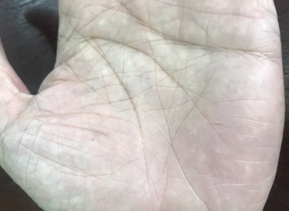 Nhà Thành Phố là thương hiệu thuộc Công ty cổ phần Nguyên Thông Quán