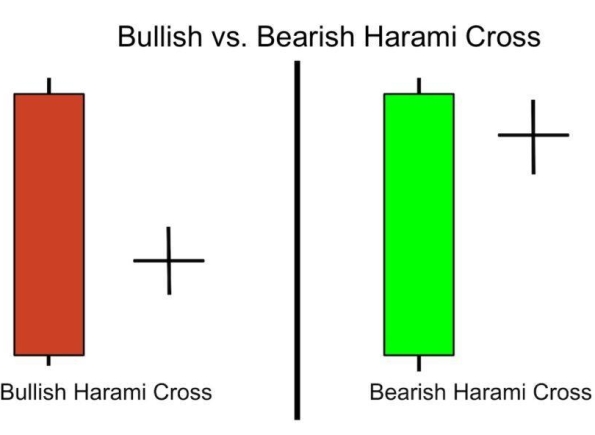 Nhà Thành Phố là thương hiệu thuộc Công ty cổ phần Nguyên Thông Quán