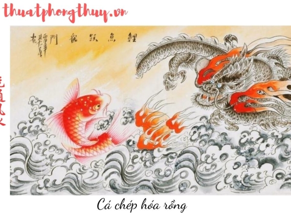 Nhà Thành Phố là thương hiệu thuộc Công ty cổ phần Nguyên Thông Quán