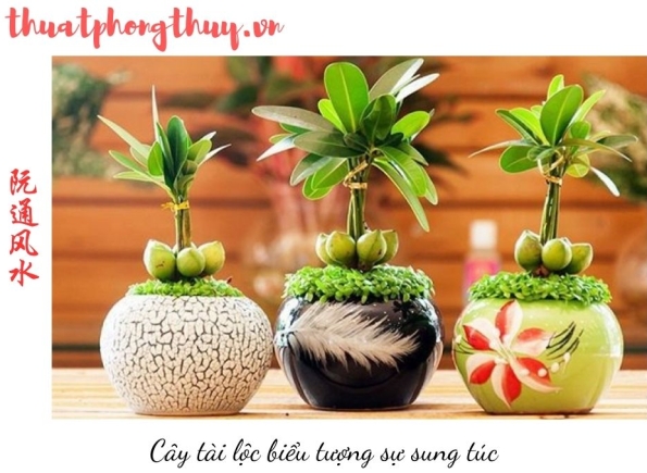 Nhà Thành Phố là thương hiệu thuộc Công ty cổ phần Nguyên Thông Quán