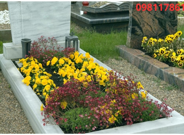 Nhà Thành Phố là thương hiệu thuộc Công ty cổ phần Nguyên Thông Quán