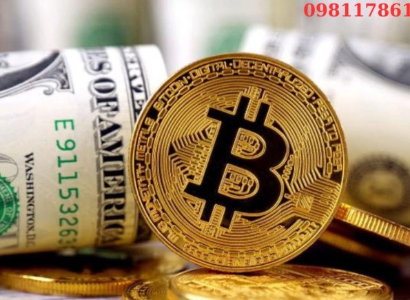 Nhà Thành Phố là thương hiệu thuộc Công ty cổ phần Nguyên Thông Quán