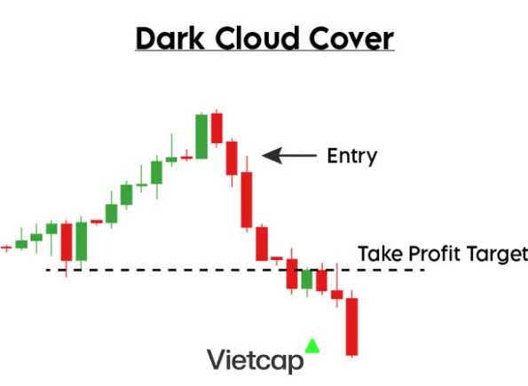 Nhà Thành Phố là thương hiệu thuộc Công ty cổ phần Nguyên Thông Quán