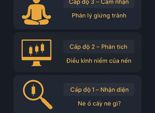 Nhà Thành Phố là thương hiệu thuộc Công ty cổ phần Nguyên Thông Quán