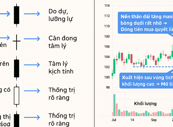 Nhà Thành Phố là thương hiệu thuộc Công ty cổ phần Nguyên Thông Quán