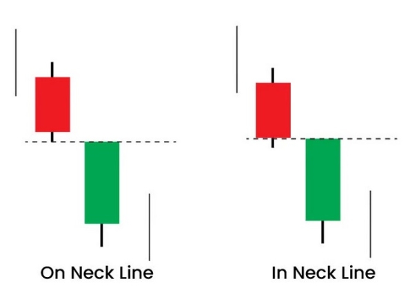 Nhà Thành Phố là thương hiệu thuộc Công ty cổ phần Nguyên Thông Quán