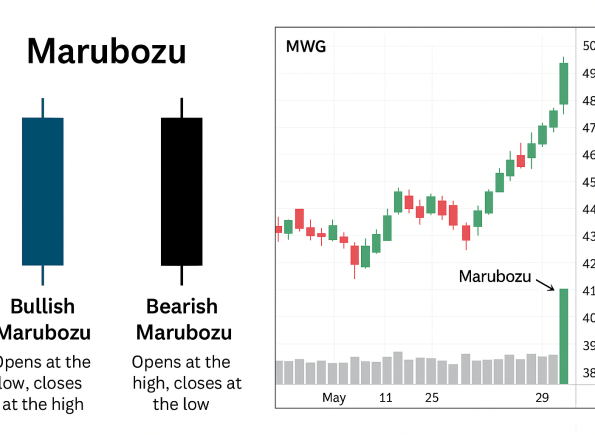Nhà Thành Phố là thương hiệu thuộc Công ty cổ phần Nguyên Thông Quán