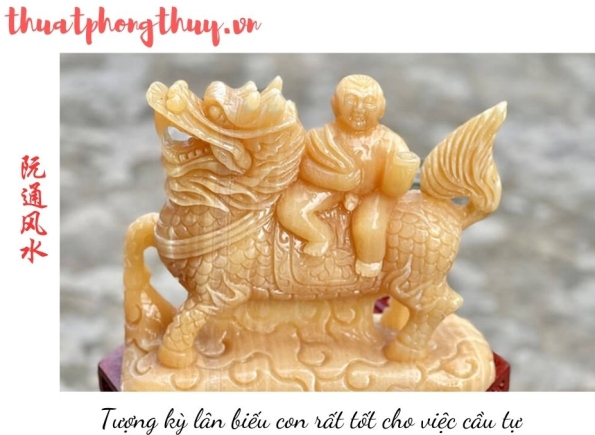 Nhà Thành Phố là thương hiệu thuộc Công ty cổ phần Nguyên Thông Quán