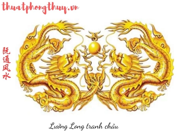 Nhà Thành Phố là thương hiệu thuộc Công ty cổ phần Nguyên Thông Quán