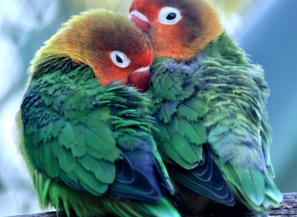 Nhà Thành Phố là thương hiệu thuộc Công ty cổ phần Nguyên Thông Quán