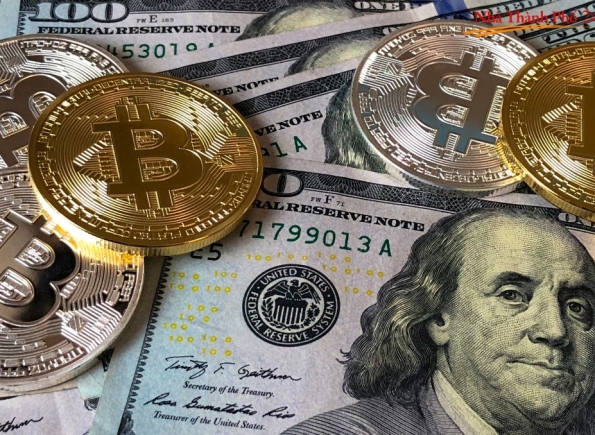 Nhà Thành Phố là thương hiệu thuộc Công ty cổ phần Nguyên Thông Quán