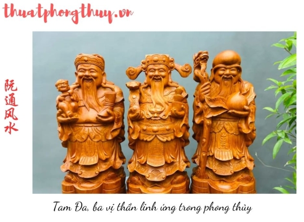 Nhà Thành Phố là thương hiệu thuộc Công ty cổ phần Nguyên Thông Quán