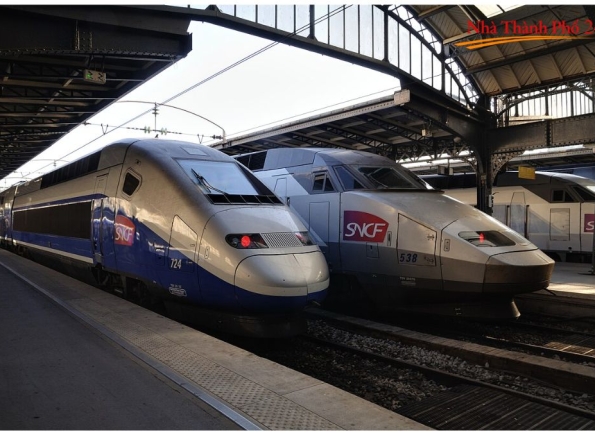 Nhà Thành Phố là thương hiệu thuộc Công ty cổ phần Nguyên Thông Quán