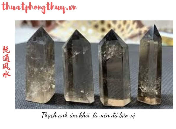 Nhà Thành Phố là thương hiệu thuộc Công ty cổ phần Nguyên Thông Quán