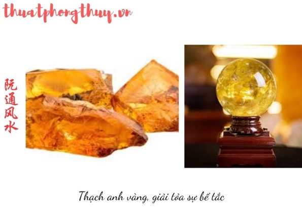 Nhà Thành Phố là thương hiệu thuộc Công ty cổ phần Nguyên Thông Quán