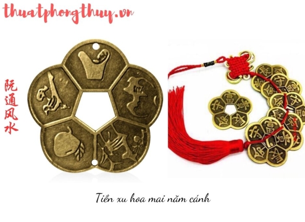 Nhà Thành Phố là thương hiệu thuộc Công ty cổ phần Nguyên Thông Quán