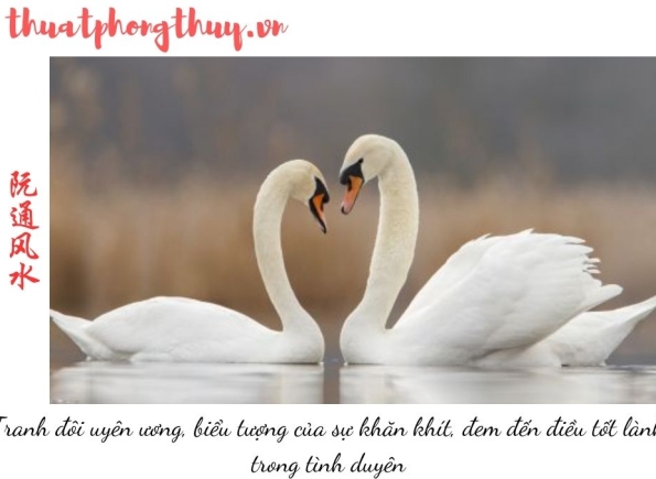 Nhà Thành Phố là thương hiệu thuộc Công ty cổ phần Nguyên Thông Quán