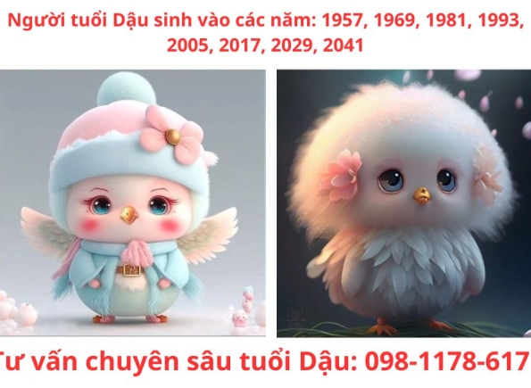 Nhà Thành Phố là thương hiệu thuộc Công ty cổ phần Nguyên Thông Quán