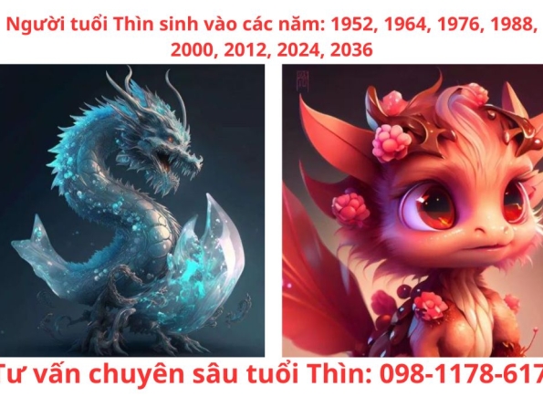 Nhà Thành Phố là thương hiệu thuộc Công ty cổ phần Nguyên Thông Quán