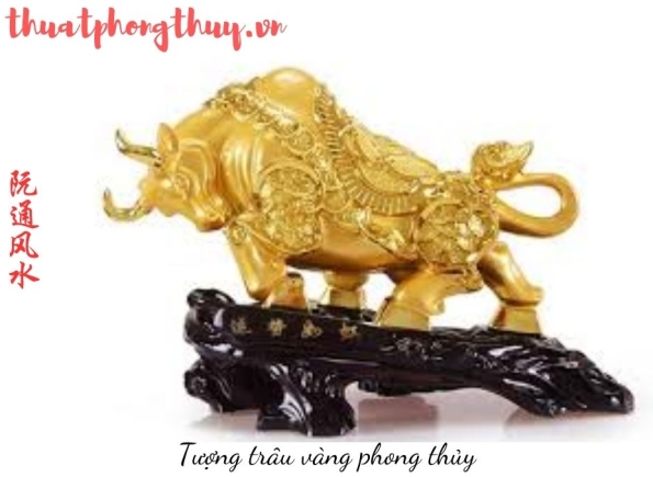 Nhà Thành Phố là thương hiệu thuộc Công ty cổ phần Nguyên Thông Quán