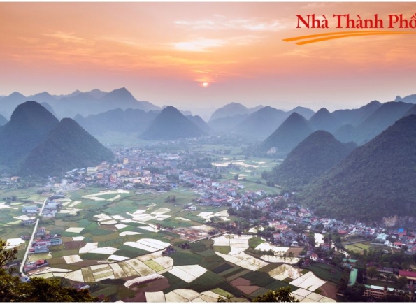 Nhà Thành Phố là thương hiệu thuộc Công ty cổ phần Nguyên Thông Quán