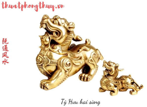 Nhà Thành Phố là thương hiệu thuộc Công ty cổ phần Nguyên Thông Quán