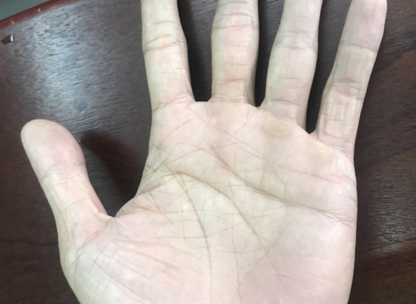 Nhà Thành Phố là thương hiệu thuộc Công ty cổ phần Nguyên Thông Quán