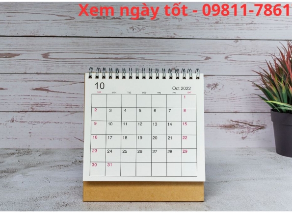 Nhà Thành Phố là thương hiệu thuộc Công ty cổ phần Nguyên Thông Quán